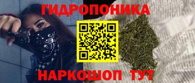 ALPHA PVP Кандалакша