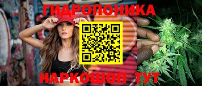 ALPHA PVP Кандалакша